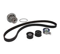 INA 530 0049 30 Kit de distribution + pompe à eau Nombre de dents: 25 26 mm