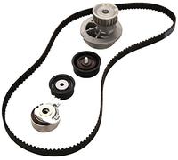 INA 530 0078 30 Pompe à eau + kit de courroie de distribution