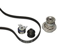 INA 530 0079 30 Kit de distribution + pompe à eau Nombre de dents: 25 26 mm