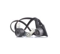 Kit de courroie de distribution 530 0096 10 INA pour CITROËN PEUGEOT ROVER FSO