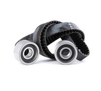 INA 530 0113 10 Kit de distribution