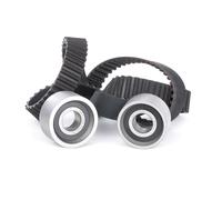 INA 530 0117 10 Kit de distribution