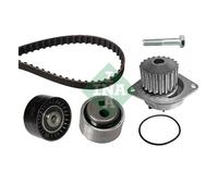 Ina 530 0119 30 Pompe À L'Eau + Courroie pour Peugeot Citroën Nissan