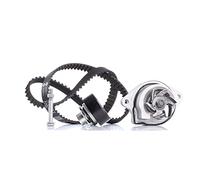 Kit distribution avec pompe à eau INA 530 0166 31