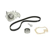 INA 530 0191 31 Kit de distribution + pompe à eau Nombre de dents: 20 22 mm Compatible avec RENAULT Clio II 3/5 portes BB, CB, BB0/1/2, CB0/1/2 Kangoo II Express FW, FW0/1 Kangoo I KC, KC0/1