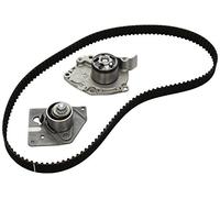 INA 530 0196 30 Pompe à eau + kit de courroie de distribution