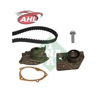 INA 530 0196 30 Pompe à eau + kit de courroie de distribution pour RENAULT DACIA