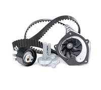 INA Kit de distribution + pompe à eau 530 0197 31 pour Renault Nissan Dacia
