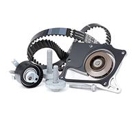 INA 530 0197 32 Kit de distribution + pompe à eau 32 mm avec joint d'étanchéite Compatible avec RENAULT Clio III 3/5 portes BR0/1, CR0/1 Megane III 3/5 portes BZ0/1 Scénic III JZ0/1