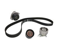 INA 530 0223 30 Kit de distribution + pompe à eau Nombre de dents: 26 28,7 mm