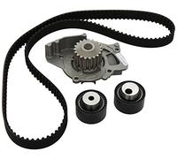 INA Pompe à eau + kit courroie de distribution 530 0234 30 pour CITROËN, FIAT 19 dents 30 mm