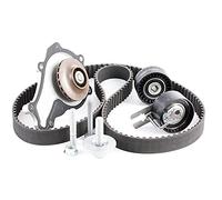 INA Kit de distribution + pompe à eau 530 0239 30 pour PEUGEOT, FORD, CITROËN