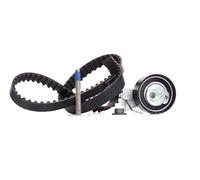 INA 530 0335 10 Kit de distribution