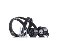 INA 530 0379 10 Kit de distribution