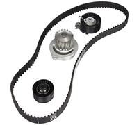 INA Kit de distribution avec pompe à eau 530 0379 30 – 19 dents 30 mm pour CITROËN PEUGEOT