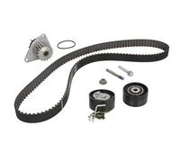 INA 530 0419 30 Kit de distribution + pompe à eau Nombre de dents: 18 29 mm