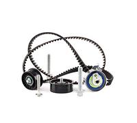 INA 530 0441 10 Kit de distribution, noir