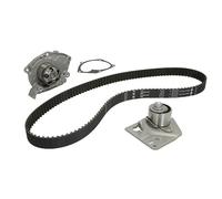 INA 530 0442 30 Pompe à eau + kit de courroie de distribution