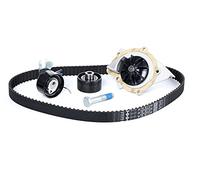 INA 530 0449 30 Pompe à eau + kit de courroie de distribution