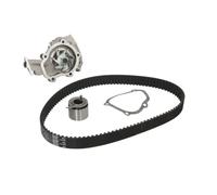 INA 530 0453 30 Pompe à eau + kit de courroie de distribution