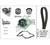 INA 530 0480 30 Kit De Pompe À Eau Et De Courroie De Distribution Pour AUDI