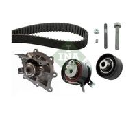 Ina 530 0489 30 Pompe À L'Eau + Courroie pour Citroën Fiat Ford Peugeot