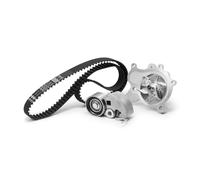 INA 530 0542 31 Kit de distribution + pompe à eau Nombre de dents: 20 32 mm avec joint d'étanchéite Compatible avec HYUNDAI i30 FD, KIA CEE'D 3/5 portes ED