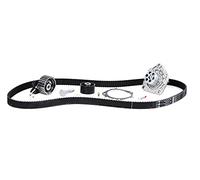 Ina Kit de distribution et pompe à eau 530 0562 30 pour OPEL, FIAT, Alfa Romeo, SAAB