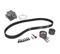 INA 530 0582 30 Kit de distribution + pompe à eau Nombre de dents: 19 32 mm