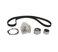 Kit distribution avec pompe à eau INA 530 0625 30