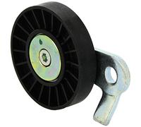 INA 531 0496 10 Poulie tendeur de courroie d'accessoire