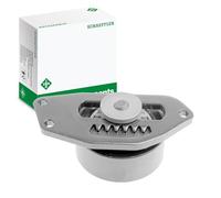 INA 531 0553 10 Poulie tendeur de courroie d'accessoire