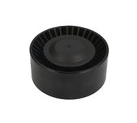 INA 531 0873 10 Poulie tendeur de courroie d'accessoire