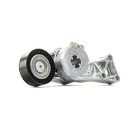 Ina Tendeur de courroie INA 533 0076 30 Galet tendeur 24 mm pour courroie trapézoïdale à nervures