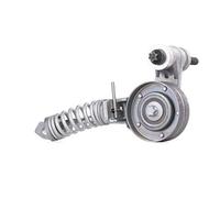 INA 533 0085 30 Galet tendeur de courroie d'accessoire