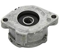 INA 533 0086 30 Galet tendeur de courroie d'accessoire