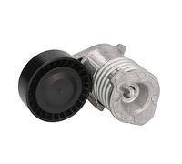 Tendeur de courroie multi-cannelée 534 0029 10 INA pour VOLVO FORD