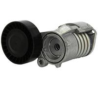 Tendeur de courroie multi-cannelée 534 0030 10 INA pour VOLVO FORD