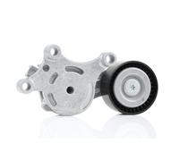 Ina Tendeur de courroie multi-cannelée 534 0075 20 pour Ford Citroën Mazda Volvo