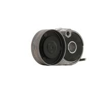 INA 534 0116 20 Galet tendeur de courroie d'accessoire