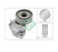 INA 534 0118 20 Tendeur De Courroie À Nervures Pour Opel Cadillac Chevrolet Lada