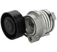 INA 534 0122 10 Galet tendeur de courroie d'accessoire