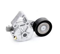 Tendeur de courroie multi-cannelée 534 0132 30 INA pour VW FORD SEAT AUDI SKODA