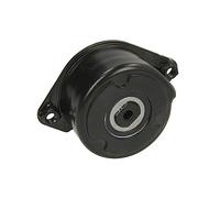 Ina Tendeur de courroie multi-cannelée 534 0171 10 pour BMW et Land Rover