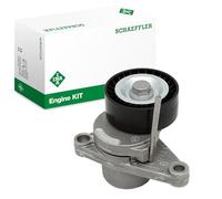 Ina Tendeur de courroie multi-cannelée 534 0250 10 pour Citroën, Peugeot