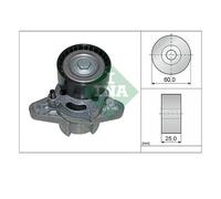INA 534 0271 10 Tendeur De Courroie À Nervures Pour Renault Dacia Nissan