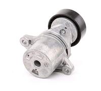 Ina Tendeur de courroie multi-cannelée 534 0550 10 pour HYUNDAI KIA