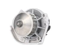 INA 538 0036 10 Pompe à eau