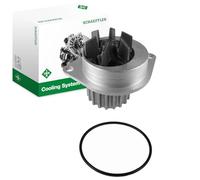 INA 538 0052 10 Pompe à eau Nombre de dents: 19 Compatible avec PEUGEOT 206 3/5 portes 2A/C 207 3/5 portes WA, WC 208 I 3/5 portes CA, CC 308 II 3/5 portes LB, LP, LW, LH, L3 308 I 3/5 portes 4A, 4C