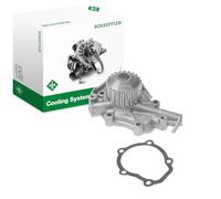 INA 538 0061 10 Pompe à eau avec joint d'étanchéite Nombre de dents: 22 Compatible avec SUZUKI JIMNY FJ, CHEVROLET Aveo/Kalos 3/5 portes T250, T255, DAEWOO KALOS KLAS